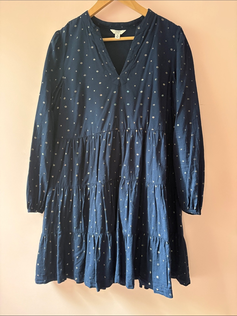 crown & ivy lined Navy Dress with Silver Embroidered Dots M